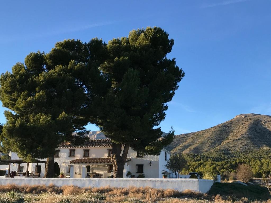 Chirivel B&B Cortijo El Ciruelo מראה חיצוני תמונה
