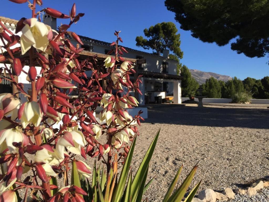 Chirivel B&B Cortijo El Ciruelo מראה חיצוני תמונה